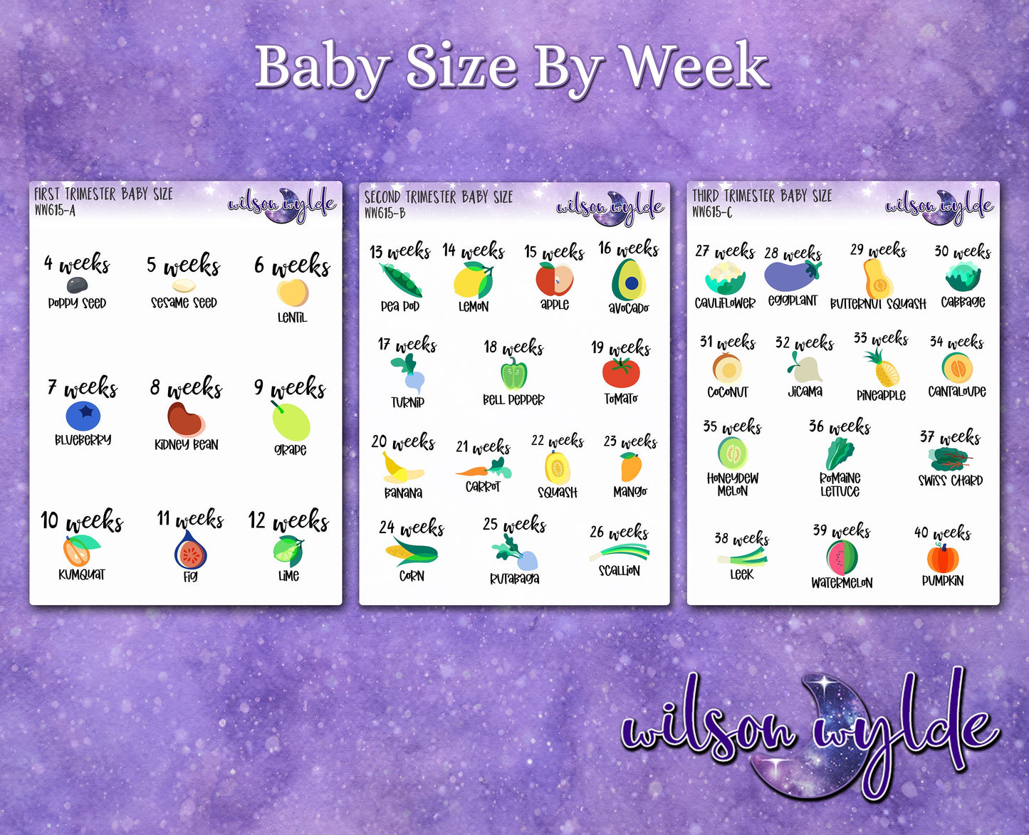 Baby Size By Pregnancy Week planner stickers, fruit vegetable baby size WW615