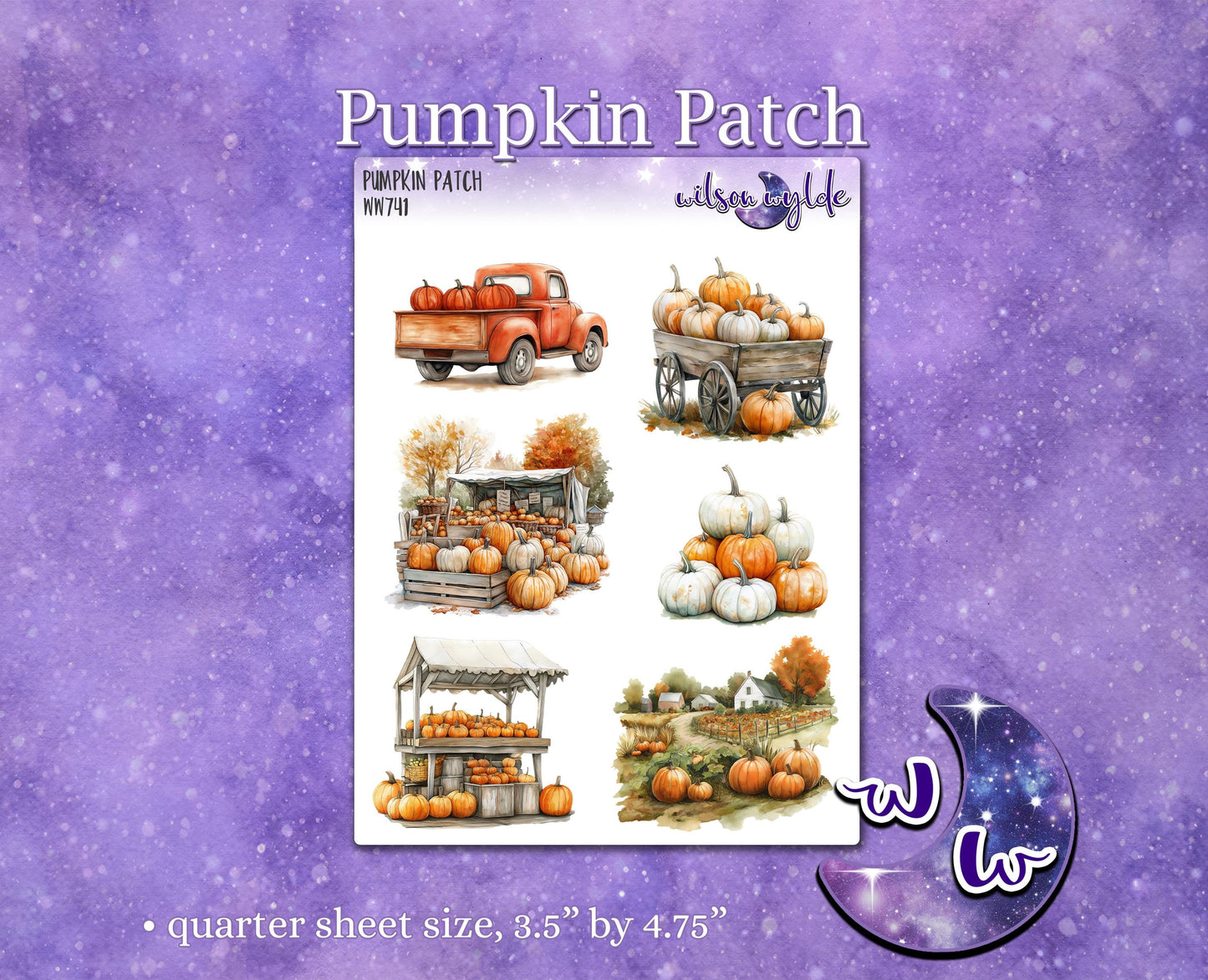 Pumpkin Patch deco planner stickers, WW741