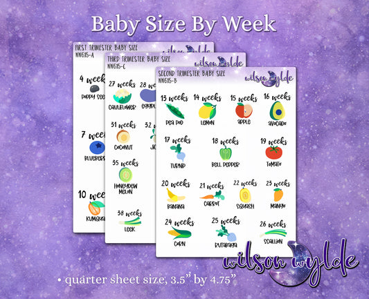 Baby Size By Pregnancy Week planner stickers, fruit vegetable baby size WW615