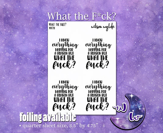 I Know Everything Happens for a Reason but What the F*ck planner stickers, WW711