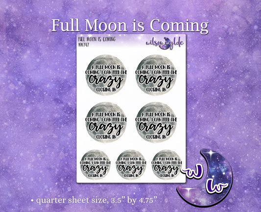 A Full Moon is Coming, I can Feel the Crazy Closing in, deco planner stickers, WW747