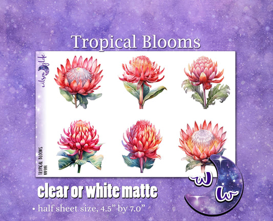 Tropical Blooms deco planner stickers, Matte or frosted clear. WW914