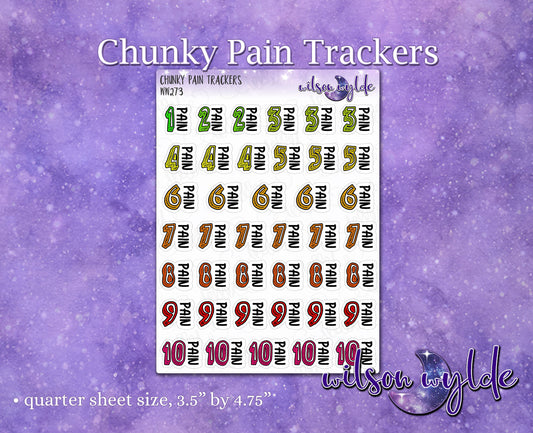 Chunky Pain Trackers, chronic pain management planner stickers, WW273