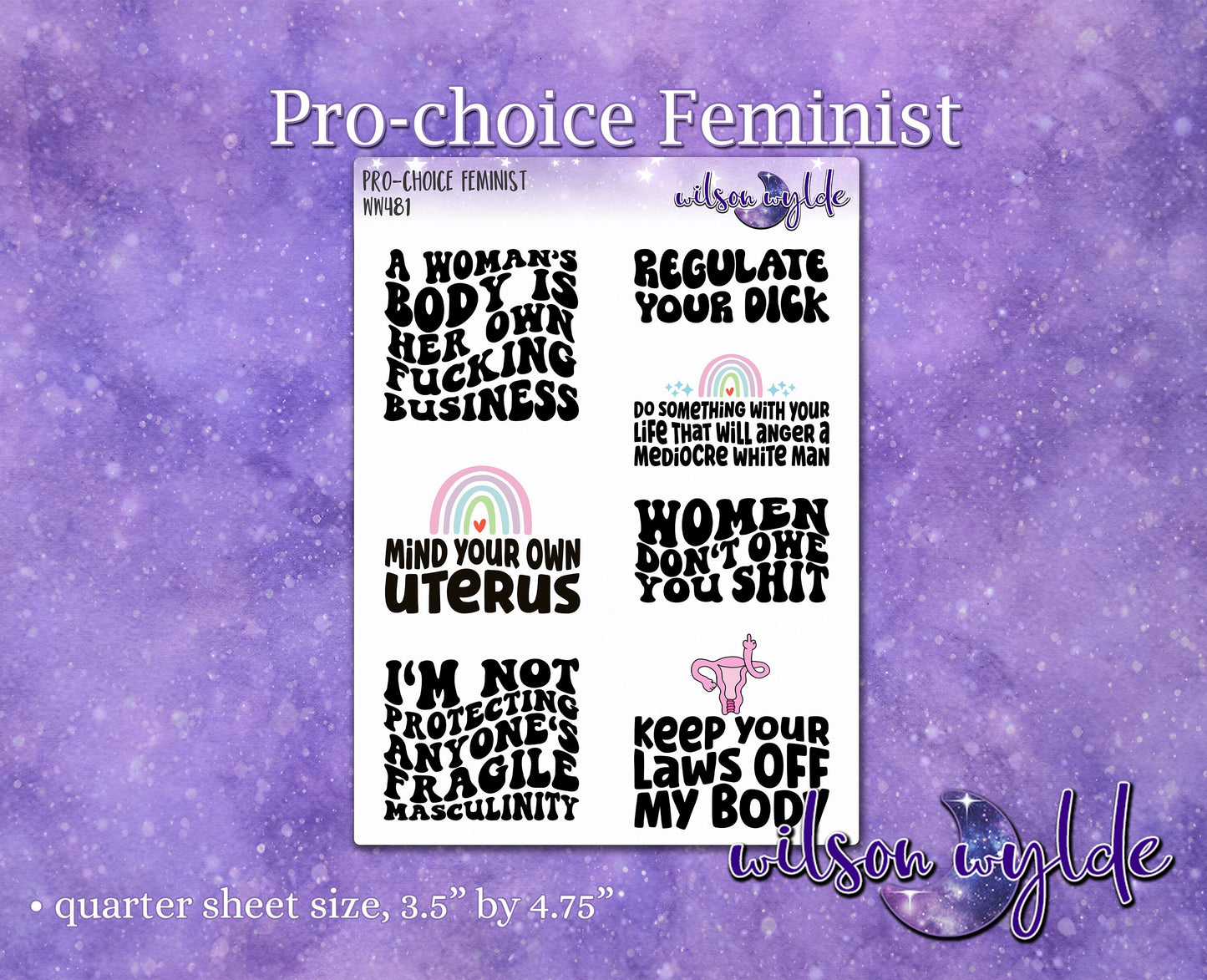 Pro-Choice Feminist planner stickers, WW486